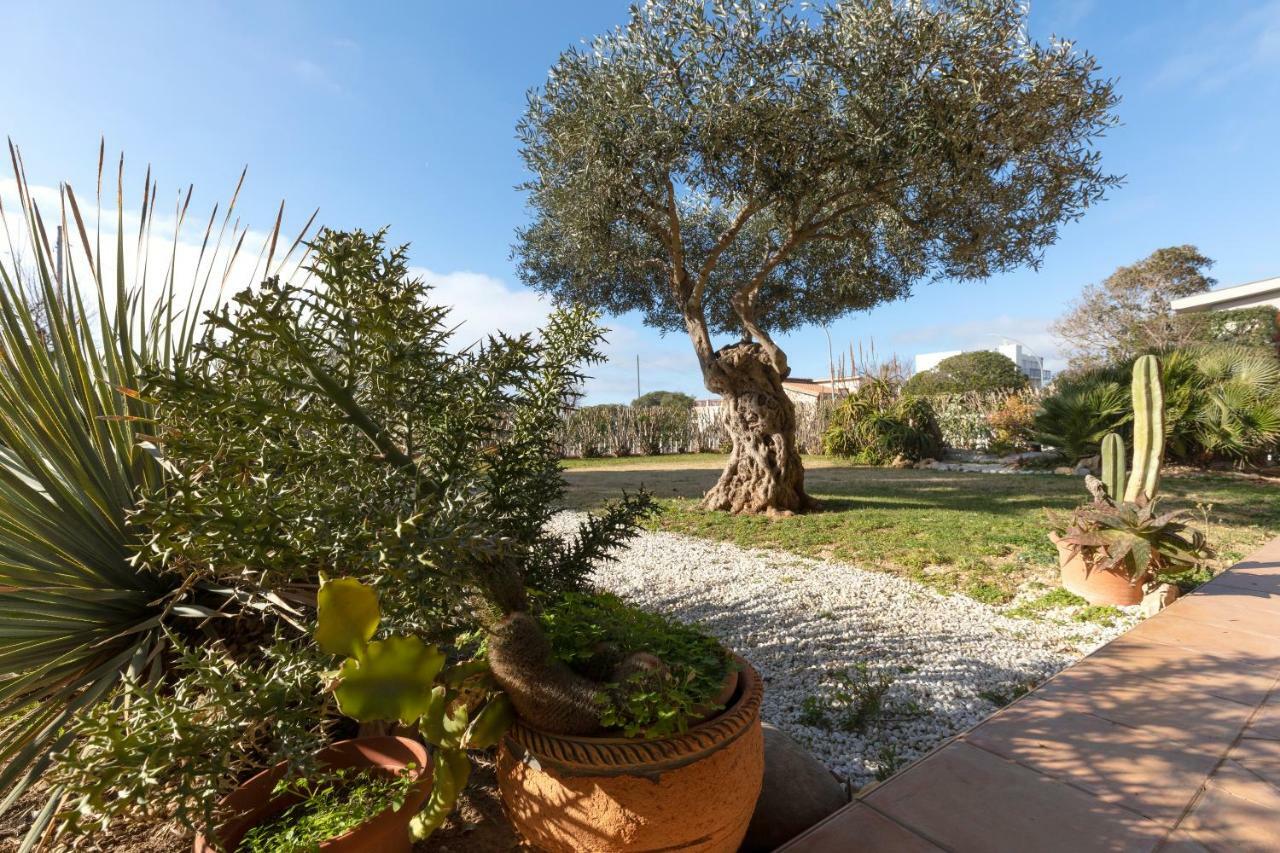 Villa Arrecifes Fertilia Zewnętrze zdjęcie
